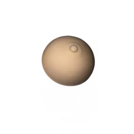 Training materials (chest)