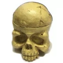 Caps of pigments holder (Skull)