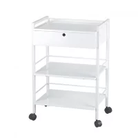 Cosmetology cart Easy