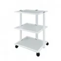 Cosmetology cart Facile