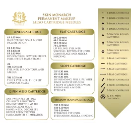 Skin Monarch permanent make up machine Prince Touch 250
