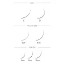 CC Lashes Eyelashes