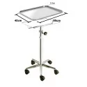 Mobile stand with removable tray