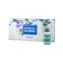 STAYVE AC Stem Cell Gold Ampoule (8ml. x 10pcs.)