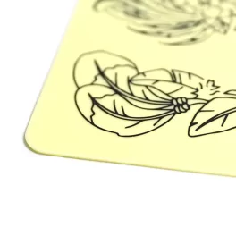 Feather Style Practice Skin