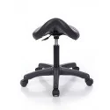 Masters chair Expert 1