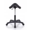 Masters chair Expert 1