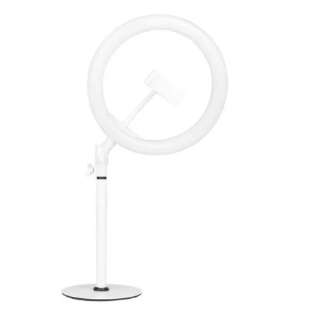 LED Ring Light 10" 8W With Phone Holder