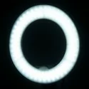 LED gredzenu lampa 10" 8W ar turētāju tālrunim