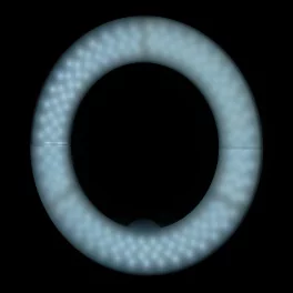 LED gredzenu lampa 10" 8W ar turētāju tālrunim