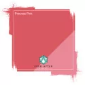 Ever After Lūpu Pigmenti (15ml)
