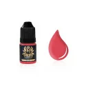 Skin Monarch Avant-Garde line lips pigment 5 ml.