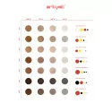Artyst Eyebrow Pigments