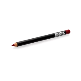 Biotek Preliminary Drawing Pencil