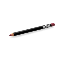 Biotek Preliminary Drawing Pencil