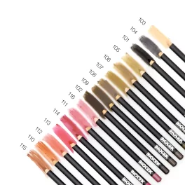 Biotek Preliminary Drawing Pencil