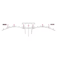 Biotek Disposable Adhesive Eyebrow Ruler (12pcs)