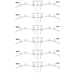 Biotek Одноразовая Kлейкая линейка для бровей (12шт)