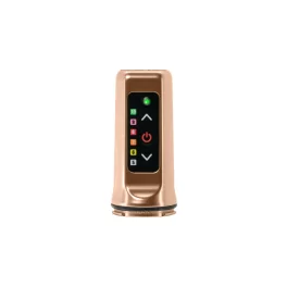 Spektra Flux Mini Champagne Gold Bezvadu Mašīna Tetovējumiem Un PMU