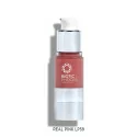 Biotic Phocea Airless Lip Pigments