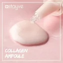 STAYVE Collagen Ampoule (10×8ml) STAYVE Collagen Ampoule (10×8ml)