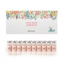STAYVE Collagen Ampoule (10×8ml) STAYVE Collagen Ampoule (10×8ml)