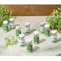 STAYVE Seanergy Peel Ampoule