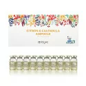 STAYVE Citron & Calendula ампула (10×8мл) STAYVE Citron & Calendula ампула (10×8мл)