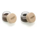 Biotek Design Paste Eyebrows (Dark/Light)