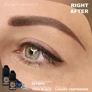 Skin Monarch Avant-Garde line Eyebrows pigment 5 ml.