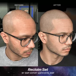 Perma Blend Stevey G. Reclaim Набор пигментов (6x15мл)