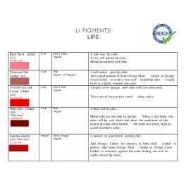 Li Pigments Aqua Global Lūpu Pigmenti (15ml)