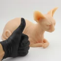 Tetovējums Silikona Sfinksa Cat
