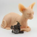Tattooable Silicone Sphynx Cat