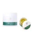 Rosa Herbal Pigment Boster Oil Gel
