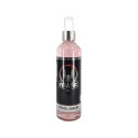 Dynamic Tattoo Ink Viking Line Trafaretu Tīrītājs (240ml) Dynamic Tattoo Ink Viking Line Trafaretu Tīrītājs (240ml)