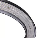 Nanlite Halo Daylight 19 LED Ring Light
