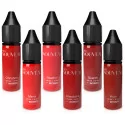Pro Noveau Lip Collection By Intenze Lūpu Pigmenti