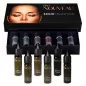 Pro Nouveau Brow Collection By Intenze (6x15ml)