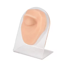 Eyebrow Piercing Silicone Model