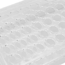 Ink Display Stand With 50 Holes (Clear/Black)