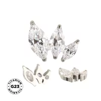 Titanium ring Arranged Marquise