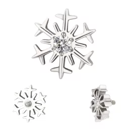 Титановая Cерьга Snowflake Shape
