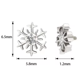 Титановая Cерьга Snowflake Shape
