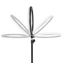 Glow 13" 10W Gredzenveida Lampa Ar Statīvu