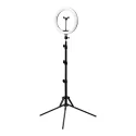 Glow 10" 10W Ring Light With Stand