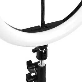 Glow 10" 10W Gredzenveida Lampa Ar Statīvu