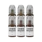 Perma Blend Paulina Osinkowska Ombre Brows Pigmentu Komplekts (6x15ml)