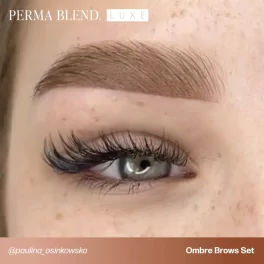 Perma Blend Paulina Osinkowska Ombre Brows Set (6x15ml)