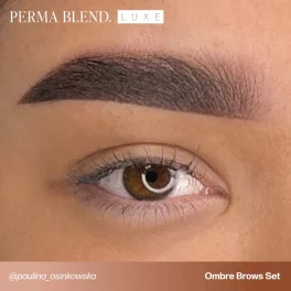 Perma Blend Paulina Osinkowska Ombre Brows Pigmentu Komplekts (6x15ml)
